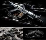 Armas e Munição em Petrolina