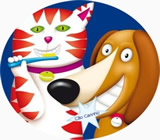 Banho e Tosa de Animais em Petrolina