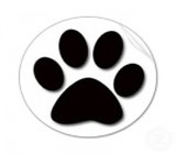 Pet Shops em Petrolina