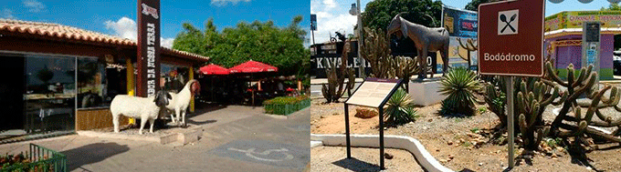 Bobódromo Petrolina